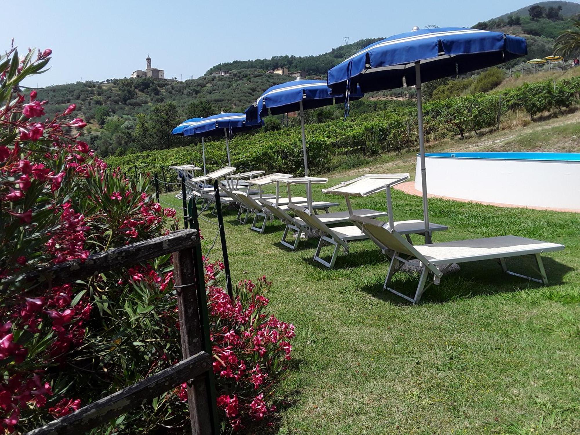 Fattoria Di Fubbiano Farm stay Collodi