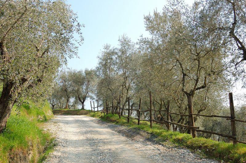 Farm stay Fattoria Di Fubbiano Collodi