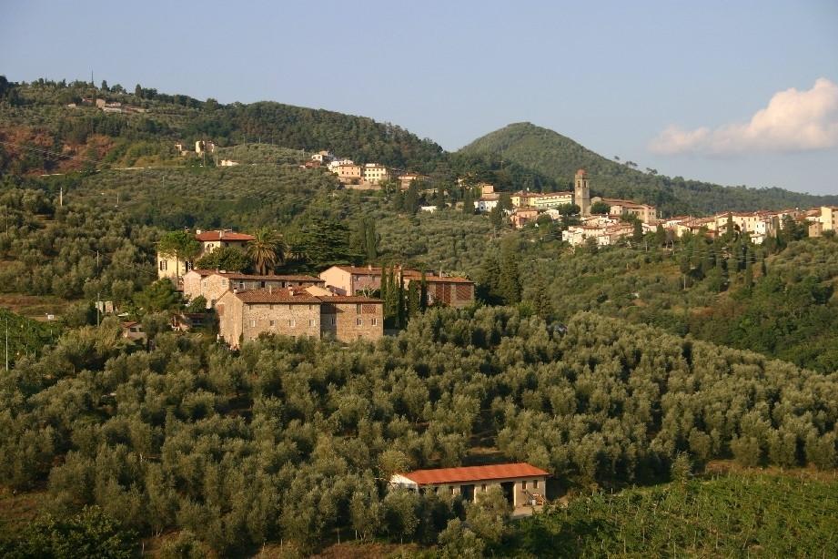 Fattoria Di Fubbiano