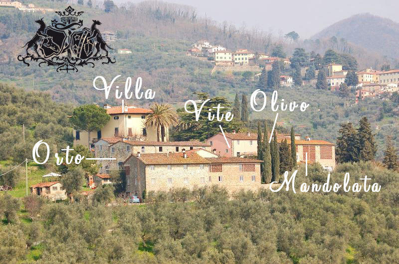 Farm stay Fattoria Di Fubbiano *