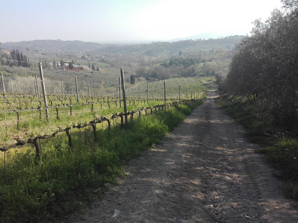 Farm stay Fattoria Di Fubbiano Collodi